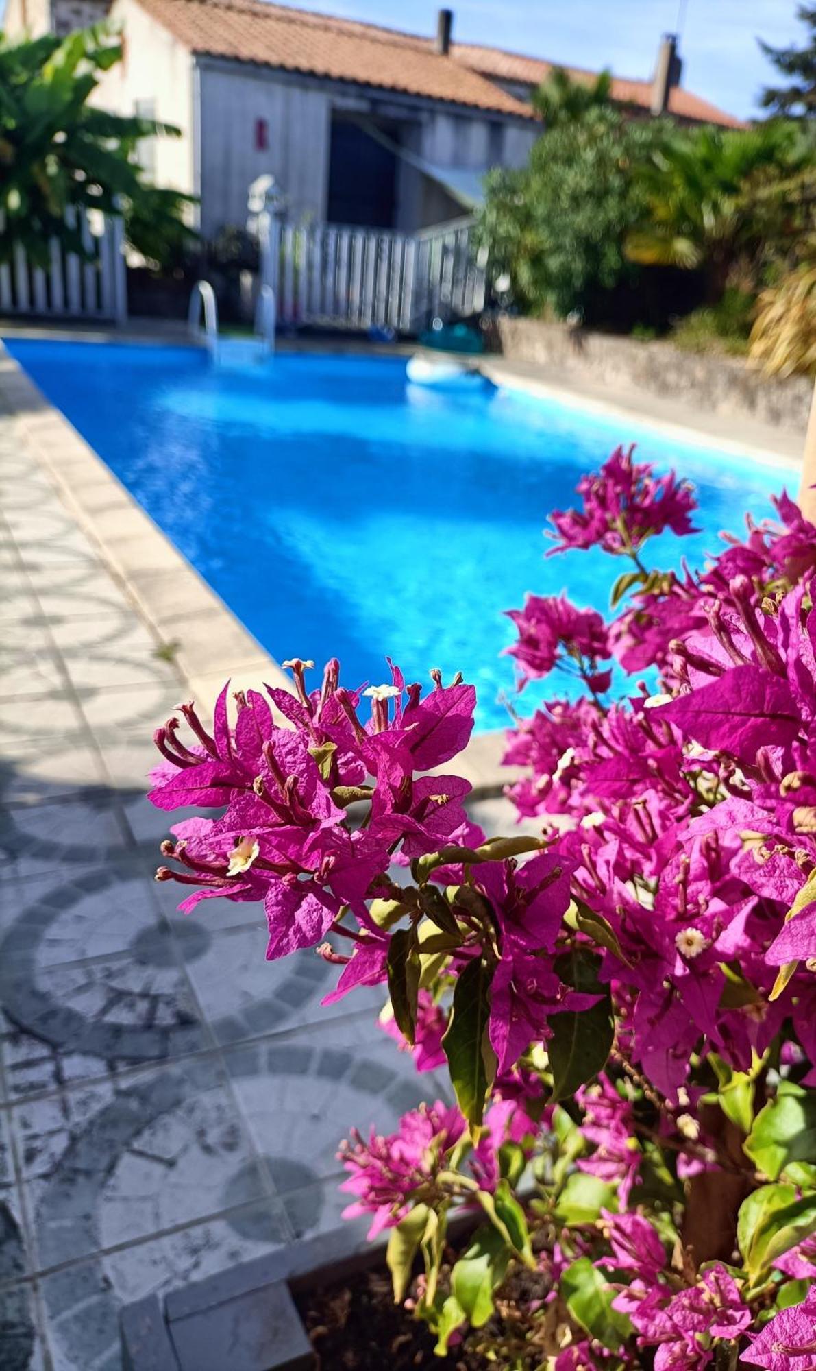 Bed and Breakfast Chez Christelle&Francky Mortagne-sur-Sevre Exterior foto